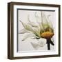 Daisy Breeze-Carolina Alotus-Framed Art Print