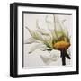 Daisy Breeze-Carolina Alotus-Framed Art Print