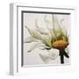 Daisy Breeze-Carolina Alotus-Framed Art Print