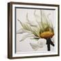 Daisy Breeze-Carolina Alotus-Framed Art Print