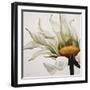 Daisy Breeze-Carolina Alotus-Framed Art Print