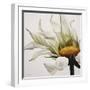 Daisy Breeze-Carolina Alotus-Framed Art Print