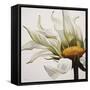 Daisy Breeze-Carolina Alotus-Framed Stretched Canvas