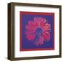 Daisy, c.1982  (blue and red)-Andy Warhol-Framed Art Print