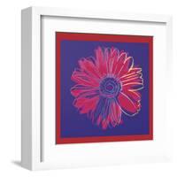 Daisy, c.1982  (blue and red)-Andy Warhol-Framed Art Print