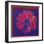 Daisy, c.1982 (Blue and Red)-Andy Warhol-Framed Giclee Print