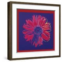 Daisy, c.1982 (Blue and Red)-Andy Warhol-Framed Giclee Print