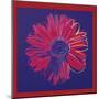 Daisy, c.1982 (Blue and Red)-Andy Warhol-Mounted Giclee Print