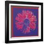 Daisy, c.1982 (Blue and Red)-Andy Warhol-Framed Giclee Print