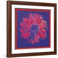 Daisy, c.1982 (Blue and Red)-Andy Warhol-Framed Giclee Print