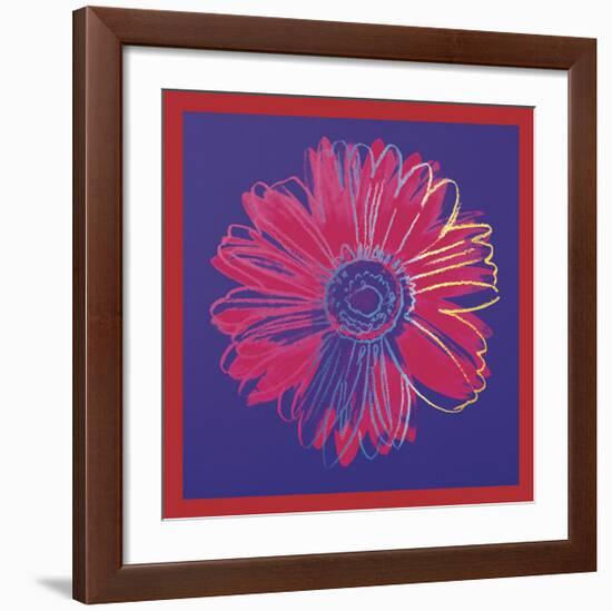 Daisy, c.1982 (Blue and Red)-Andy Warhol-Framed Giclee Print