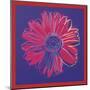 Daisy, c.1982 (Blue and Red)-Andy Warhol-Mounted Giclee Print