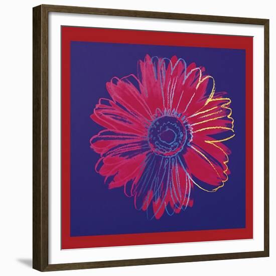 Daisy, c.1982 (Blue and Red)-Andy Warhol-Framed Giclee Print