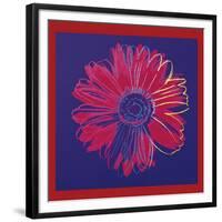 Daisy, c.1982 (Blue and Red)-Andy Warhol-Framed Giclee Print