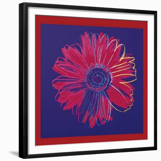 Daisy, c.1982 (Blue and Red)-Andy Warhol-Framed Giclee Print