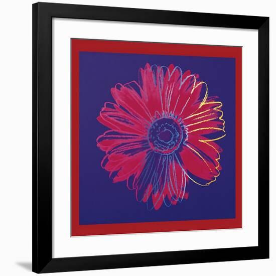 Daisy, c.1982 (Blue and Red)-Andy Warhol-Framed Giclee Print