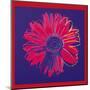 Daisy, c.1982 (Blue and Red)-Andy Warhol-Mounted Art Print