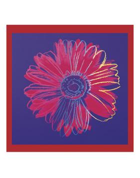 Daisy, c.1982  (blue and red)-Andy Warhol-Lamina Framed Art Print