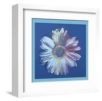 Daisy, c.1982  (blue on blue)-Andy Warhol-Framed Art Print