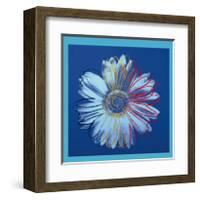 Daisy, c.1982 (Blue on Blue)-Andy Warhol-Framed Giclee Print