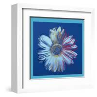 Daisy, c.1982 (Blue on Blue)-Andy Warhol-Framed Giclee Print