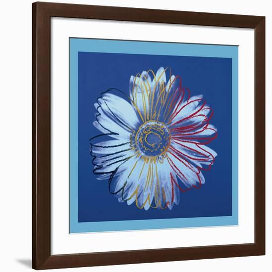 Daisy, c.1982 (Blue on Blue)-Andy Warhol-Framed Giclee Print