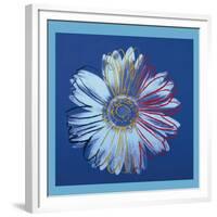 Daisy, c.1982 (Blue on Blue)-Andy Warhol-Framed Giclee Print