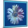 Daisy, c.1982 (Blue on Blue)-Andy Warhol-Mounted Art Print