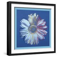 Daisy, c.1982 (blue on blue)-Andy Warhol-Framed Art Print