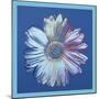 Daisy, c.1982 (blue on blue)-Andy Warhol-Mounted Art Print