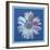 Daisy, c.1982 (blue on blue)-Andy Warhol-Framed Art Print