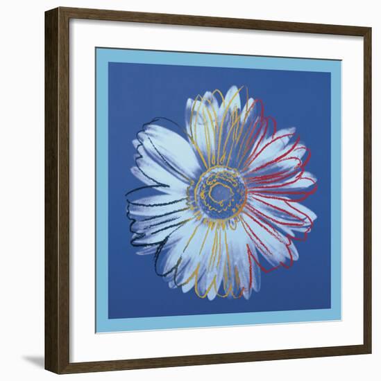 Daisy, c.1982 (blue on blue)-Andy Warhol-Framed Art Print