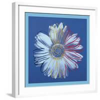 Daisy, c.1982 (blue on blue)-Andy Warhol-Framed Art Print