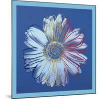 Daisy, c.1982 (blue on blue)-Andy Warhol-Mounted Art Print