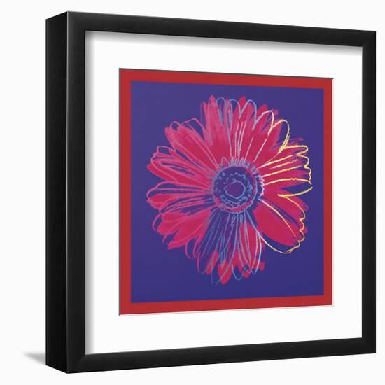 Daisy, c.1982 (blue & red)-Andy Warhol-Framed Art Print