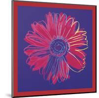 Daisy, c.1982 (blue & red)-Andy Warhol-Mounted Art Print