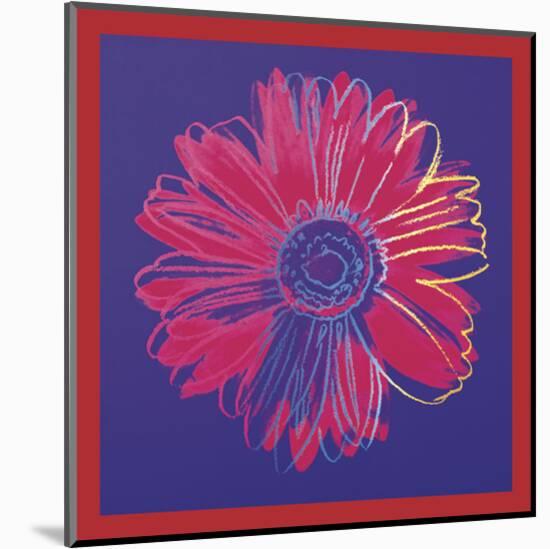 Daisy, c.1982 (blue & red)-Andy Warhol-Mounted Art Print