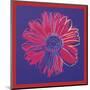 Daisy, c.1982 (blue & red)-Andy Warhol-Mounted Art Print
