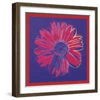 Daisy, c.1982 (blue & red)-Andy Warhol-Framed Art Print