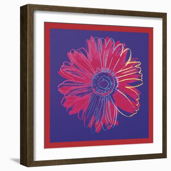 Daisy, c.1982 (blue & red)-Andy Warhol-Framed Art Print