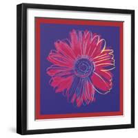 Daisy, c.1982 (blue & red)-Andy Warhol-Framed Art Print