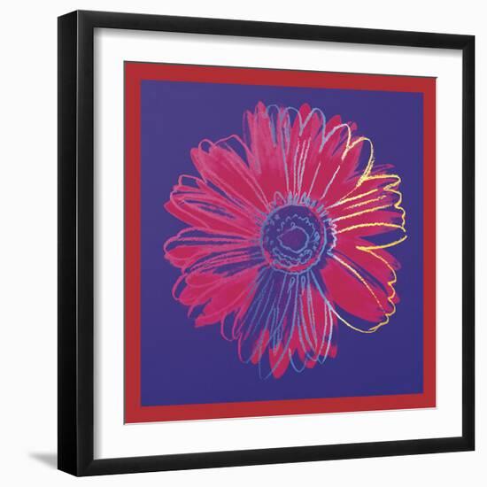 Daisy, c.1982 (blue & red)-Andy Warhol-Framed Art Print