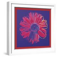 Daisy, c.1982 (blue & red)-Andy Warhol-Framed Art Print