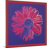 Daisy, c.1982 (blue & red)-Andy Warhol-Mounted Art Print