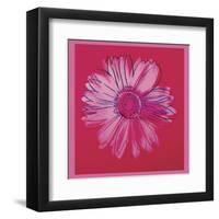 Daisy, c.1982  (crimson and pink)-Andy Warhol-Framed Art Print