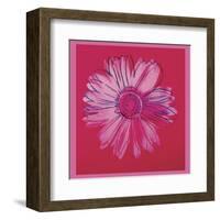 Daisy, c.1982  (crimson and pink)-Andy Warhol-Framed Art Print