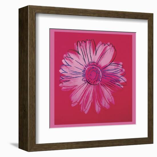 Daisy, c.1982  (crimson and pink)-Andy Warhol-Framed Art Print