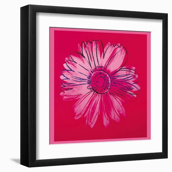 Daisy, c.1982 (Crimson and Pink)-Andy Warhol-Framed Art Print