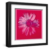 Daisy, c.1982 (Crimson and Pink)-Andy Warhol-Framed Giclee Print