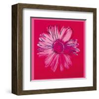 Daisy, c.1982 (Crimson and Pink)-Andy Warhol-Framed Giclee Print